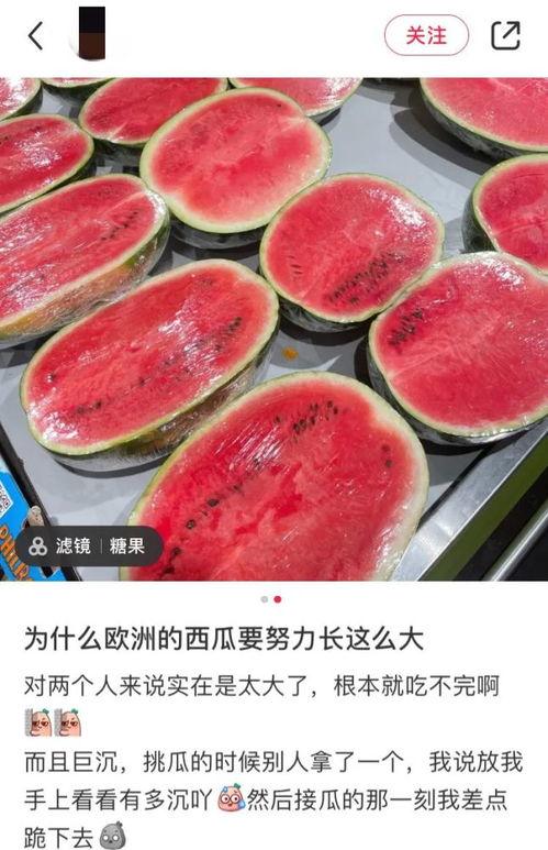 在人群外吃瓜,揭秘那些鲜为人知的幕后故事